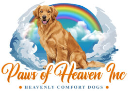 Paws of Heaven